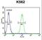 DDX11 antibody, LS-C167326, Lifespan Biosciences, Flow Cytometry image 