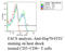 HSP70 antibody, TA309388, Origene, Flow Cytometry image 