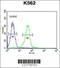 Potassium Voltage-Gated Channel Subfamily J Member 6 antibody, 62-071, ProSci, Flow Cytometry image 
