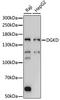 Diacylglycerol Kinase Delta antibody, LS-C750089, Lifespan Biosciences, Western Blot image 