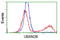 UBX Domain Protein 2B antibody, LS-C172826, Lifespan Biosciences, Flow Cytometry image 