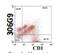 CD207 Molecule antibody, DDX0368P-100, Novus Biologicals, Flow Cytometry image 