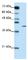 Zinc finger protein 42 homolog antibody, ab50828, Abcam, Western Blot image 
