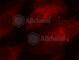Caveolin 1 antibody, AP0320, ABclonal Technology, Immunofluorescence image 