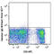 T Cell Receptor Gamma Constant 2 antibody, 118119, BioLegend, Flow Cytometry image 