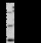 Membrane attack complex inhibition factor antibody, 80299-T52, Sino Biological, Western Blot image 