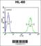 Protein THEMIS2 antibody, 64-181, ProSci, Flow Cytometry image 