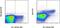 BCL6 Transcription Repressor antibody, 12-5453-82, Invitrogen Antibodies, Flow Cytometry image 