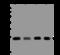 Zinc Finger Matrin-Type 2 antibody, 206956-T36, Sino Biological, Western Blot image 