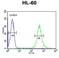 Homeobox protein Hox-A3 antibody, LS-B13759, Lifespan Biosciences, Flow Cytometry image 
