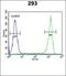 Sodium-dependent phosphate transporter 2 antibody, orb247601, Biorbyt, Flow Cytometry image 