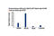 Histone Cluster 1 H2B Family Member B antibody, 12799S, Cell Signaling Technology, Chromatin Immunoprecipitation image 