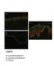 Zinc Finger Protein 133 antibody, 25-278, ProSci, Immunofluorescence image 