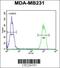 Minichromosome Maintenance Complex Binding Protein antibody, 61-640, ProSci, Flow Cytometry image 