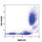 Platelet And Endothelial Cell Adhesion Molecule 1 antibody, 303116, BioLegend, Flow Cytometry image 