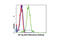 HA tag antibody, 2367S, Cell Signaling Technology, Flow Cytometry image 