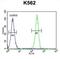 Olfactory Receptor Family 52 Subfamily D Member 1 antibody, abx025976, Abbexa, Flow Cytometry image 