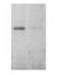 Early Endosome Antigen 1 antibody, GTX22900, GeneTex, Western Blot image 