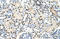 Distal-Less Homeobox 5 antibody, orb329994, Biorbyt, Immunohistochemistry paraffin image 