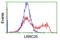 Leucine Rich Repeat Containing 25 antibody, TA504917, Origene, Flow Cytometry image 
