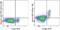 Zinc finger protein Helios antibody, 47-9883-41, Invitrogen Antibodies, Flow Cytometry image 