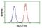 NADH:Ubiquinone Oxidoreductase Subunit B9 antibody, NBP2-00495, Novus Biologicals, Flow Cytometry image 