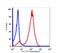 CD5 Molecule antibody, FC00480-FITC, Boster Biological Technology, Flow Cytometry image 