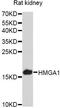 High mobility group protein HMG-I/HMG-Y antibody, LS-C747780, Lifespan Biosciences, Western Blot image 