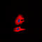 Ret Proto-Oncogene antibody, GTX54984, GeneTex, Immunofluorescence image 