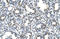 Solute Carrier Family 43 Member 3 antibody, orb325108, Biorbyt, Immunohistochemistry paraffin image 