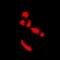 KIAA0513 antibody, orb78273, Biorbyt, Immunofluorescence image 