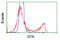 Bruton Tyrosine Kinase antibody, TA501093, Origene, Flow Cytometry image 