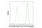 p65 antibody, 8801S, Cell Signaling Technology, Flow Cytometry image 
