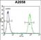 Fibroblast Growth Factor 11 antibody, PA5-48530, Invitrogen Antibodies, Flow Cytometry image 