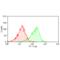 Solute Carrier Family 3 Member 2 antibody, MCA2684, Bio-Rad (formerly AbD Serotec) , Flow Cytometry image 