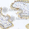 Defensin Beta 121 antibody, A1208, ABclonal Technology, Immunohistochemistry paraffin image 