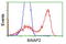 BAI1 Associated Protein 2 antibody, TA502981, Origene, Flow Cytometry image 