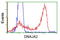 DnaJ Heat Shock Protein Family (Hsp40) Member A2 antibody, TA501688, Origene, Flow Cytometry image 