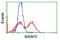 BAI1 Associated Protein 2 antibody, TA503342, Origene, Flow Cytometry image 