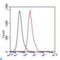 SMAD Family Member 5 antibody, LS-C813119, Lifespan Biosciences, Flow Cytometry image 