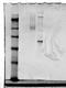 C-C Motif Chemokine Receptor 2 antibody, NBP1-48337, Novus Biologicals, Western Blot image 