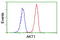 Akt antibody, LS-C173708, Lifespan Biosciences, Flow Cytometry image 