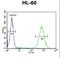 Class E basic helix-loop-helix protein 22 antibody, LS-C156810, Lifespan Biosciences, Flow Cytometry image 