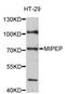 Mitochondrial Intermediate Peptidase antibody, LS-C747731, Lifespan Biosciences, Western Blot image 