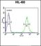 Cholinergic Receptor Nicotinic Alpha 7 Subunit antibody, orb312180, Biorbyt, Flow Cytometry image 