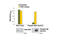 AKT Serine/Threonine Kinase 3 antibody, 7934S, Cell Signaling Technology, Enzyme Linked Immunosorbent Assay image 