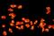 LHRHR antibody, orb13542, Biorbyt, Immunofluorescence image 