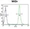 Zinc Finger C4H2-Type Containing antibody, abx025894, Abbexa, Western Blot image 