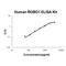 Roundabout Guidance Receptor 1 antibody, EK1755, Boster Biological Technology, Enzyme Linked Immunosorbent Assay image 