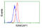 Ran GTPase Activating Protein 1 antibody, GTX83725, GeneTex, Flow Cytometry image 
